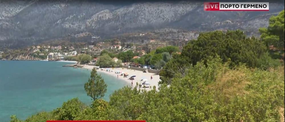 Πόρτο Γερμενό: Η επόμενη μέρα στα καμένα - Στήνουν ξανά τη ζωή τους οι κάτοικοι