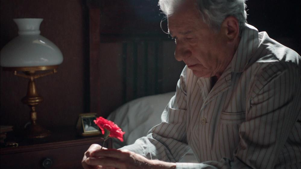 VELVET - ΕΠΕΙΣΟΔΙΟ 02 – Β ΚΥΚΛΟΣ