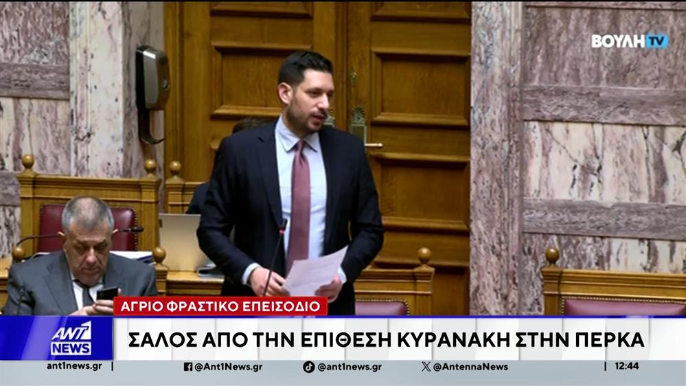 Βουλή: Άγριο φραστικό επεισόδιο - Σάλος από την επίθεση Κυρανάκη στην Πέρκα