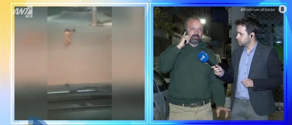 Λύκος έκανε βόλτα σε Άνω Λιόσια και Πετρούπολη - Ανησυχία για τους κατοίκους