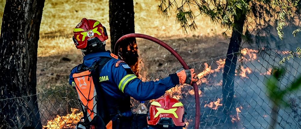 Φωτιά Ηλεία