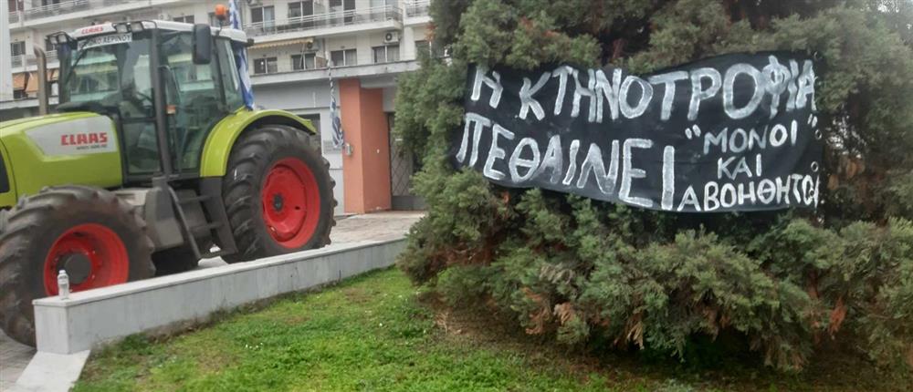 ΜΑΓΝΗΣΙΑ - ΑΓΡΟΤΕΣ