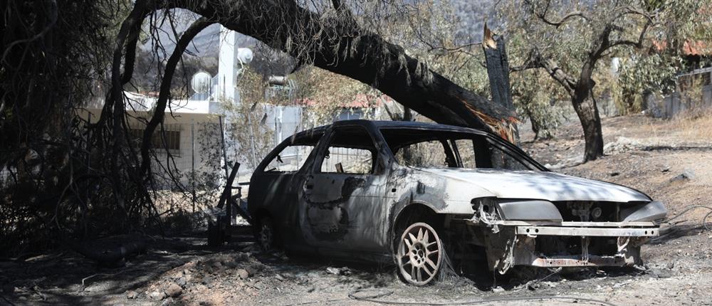 Δυτική Αττική: Η επόμενη ημέρα μετά τις πυρκαγιές - Αντιπλημμυρικά έργα και αποκατάσταση