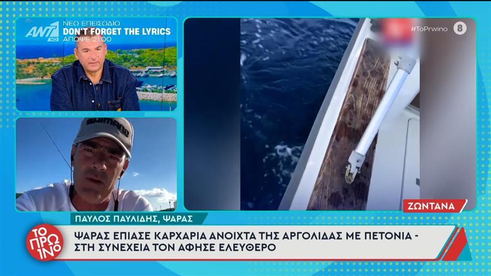 Ψαράς έπιασε καρχαρία ανοιχτά της Αργολίδας με πετονιά – Το Πρωινό – 13/11/2025