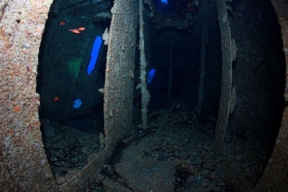 Αδριάς - ναυάγιο - Φαλκονέρα Αδριάς - ναυάγιο - Φαλκονέρα