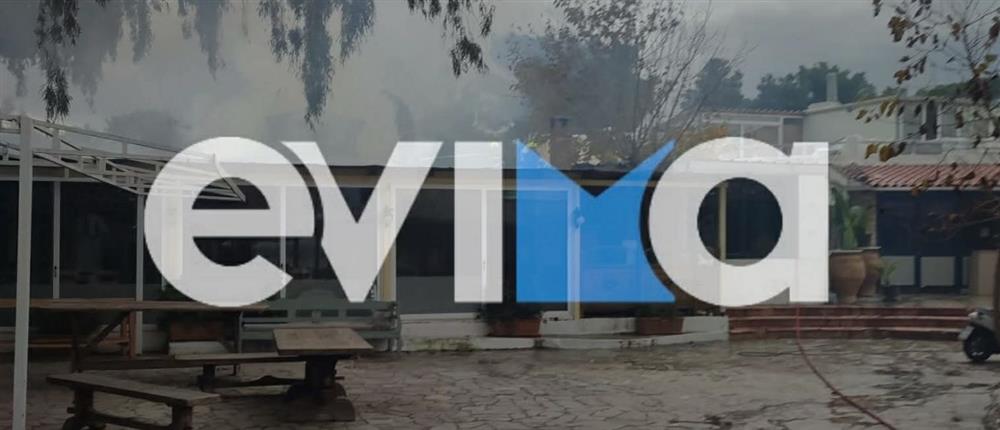 Συναγερμός στην Εύβοια: Φωτιά σε μαγαζί εστίασης