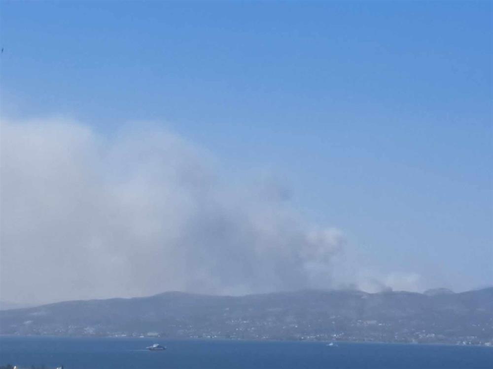 Φωτιά - Εύβοια - Από Ωρωπό