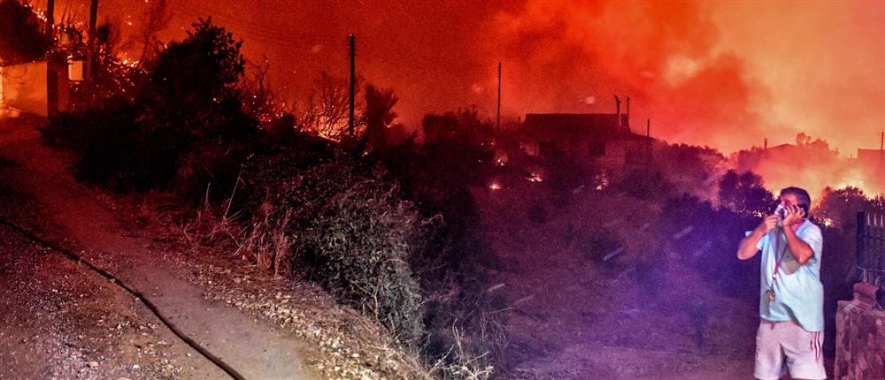 Φωτιά - Ξυλόκαστρο - πυρκαγιά