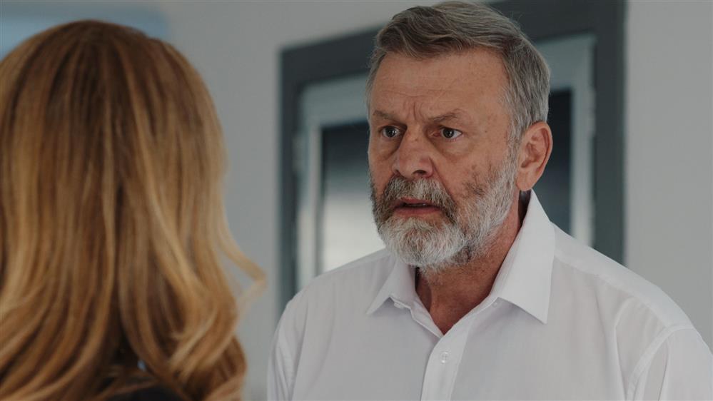 Η Γη της Ελιάς