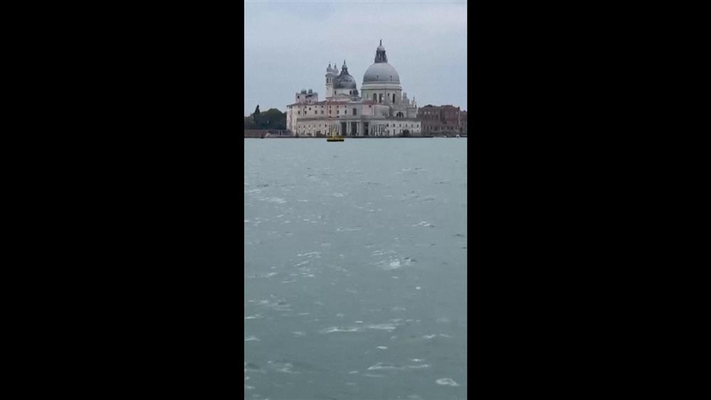 O Μίμο το δελφίνι εντυπωσιάζει στα νερά της Βενετίας