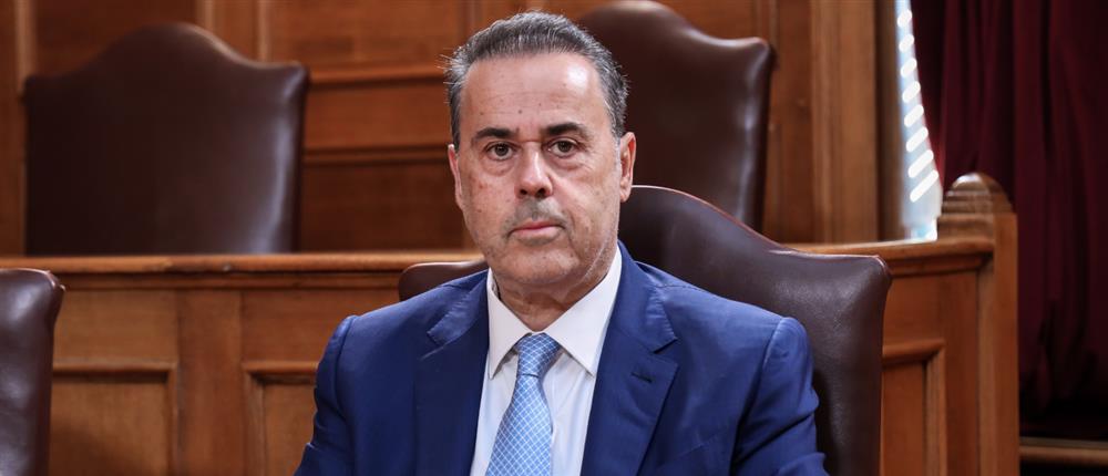 Παπασταύρου για ΟΠΕΚΕΠΕ: Η διαχρονική παθογένεια στις αγροτικές επιδοτήσεις είναι κάτι που μας απασχολεί όλους