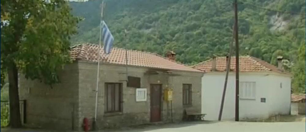 Δελτίο Ειδήσεων - Δαμασκηνιά