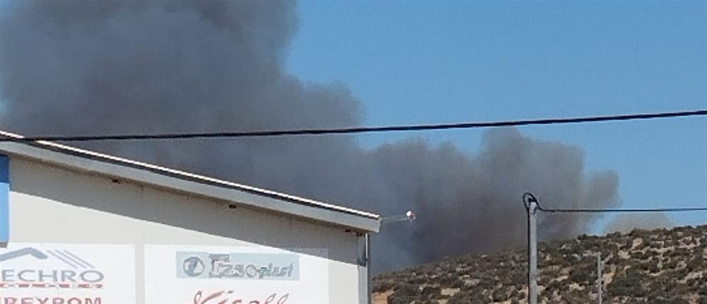 Φωτιά στην Αγία Μαρίνα Κορωπίου: Ήχησε το 112