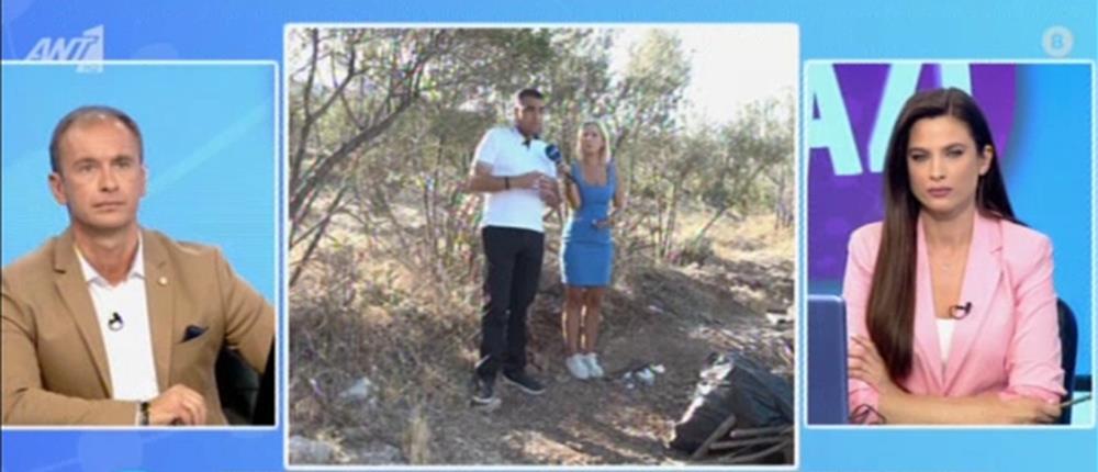 Υμηττός: “χωματερές” γύρω από κυψέλες μελισσών απειλούν το δάσος (βίντεο)