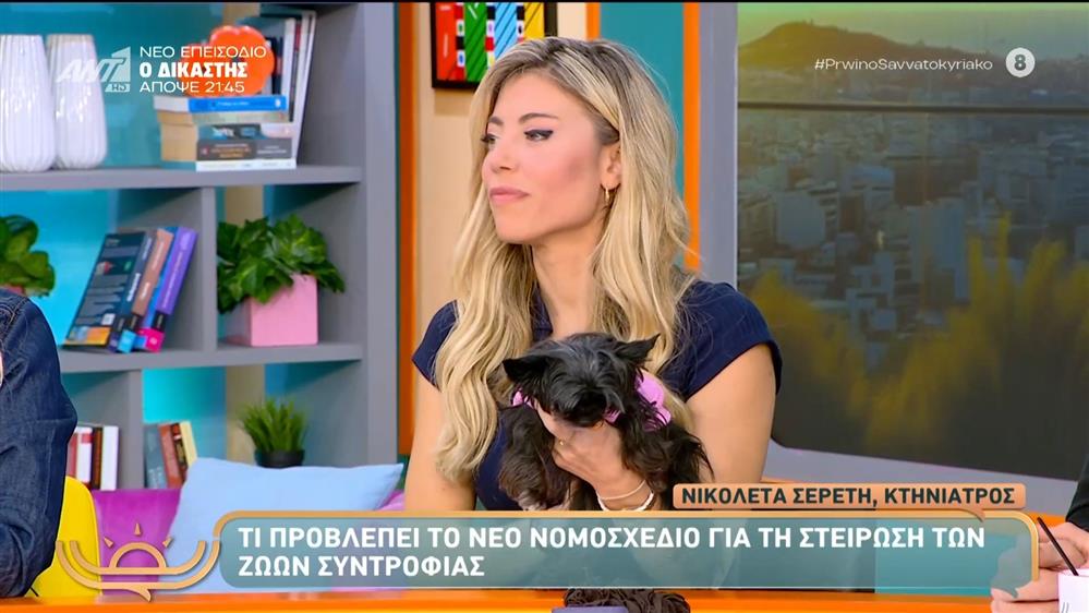 Τι προβλέπει το νέο νομοσχέδιο για την στείρωση των ζώων συντροφιάς - Πρωινό Σαββατοκύριακο - 23/11/2025
