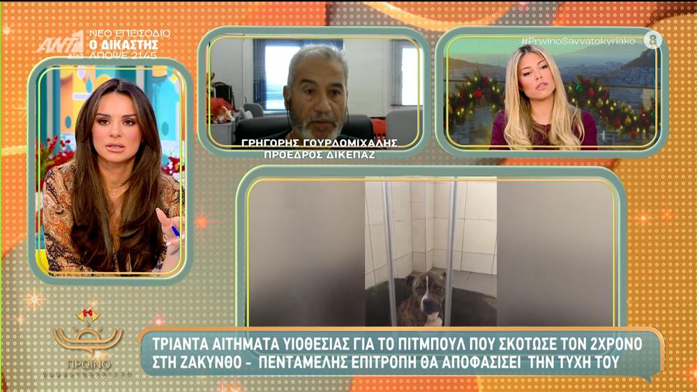 Ζάκυνθος: 30 αιτήματα υιοθεσίας για το πιτ μπουλ που σκότωσε τον 2χρονο – Πρωινό Σαββατοκύριακο – 14/12/2025