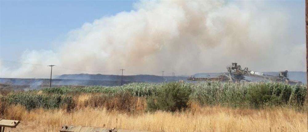 Φωτιά στην Μεγαλόπολη: 112 για εκκένωση οικισμών και ανησυχία για το μέτωπο (βίντεο)