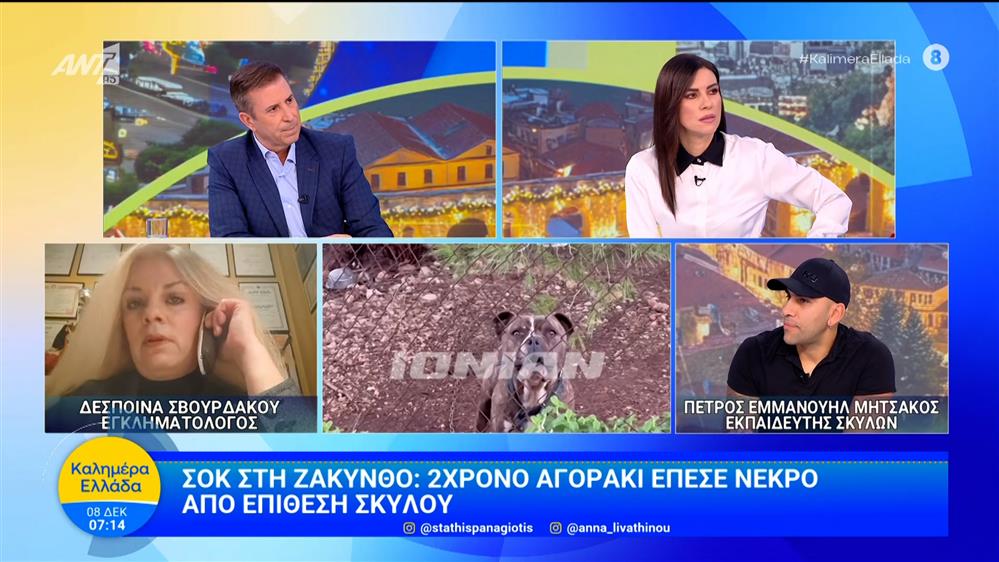 Σοκ στη Ζάκυνθο: 2χρονο αγοράκι έπεσε νεκρό από επίθεση σκύλου – Καλημέρα Ελλάδα – 08/12/2025