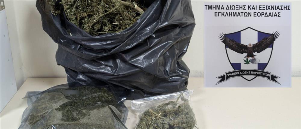 Πτολεμαϊδα: Πώς ο σκύλος “Bongo”… “ξετρύπωσε” σημαντική ποσότητα ναρκωτικών σε κτήμα 60χρονου