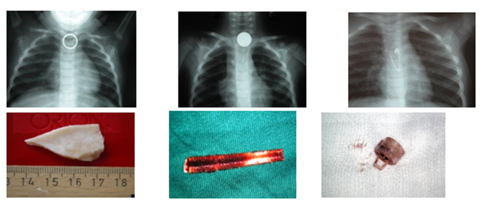 HGG - ΚΟΥΔΟΥΜΝΑΚΗΣ ΕΜΜΑΝΟΥΗΛ