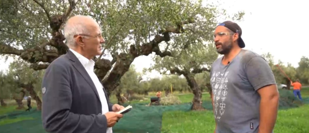 Ελαιόλαδο - ΑΝΤ1