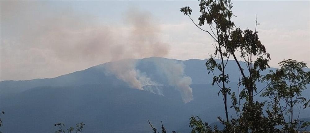 Πέλλα - φωτιά - Πάικο Πέλλα - φωτιά - Πάικο