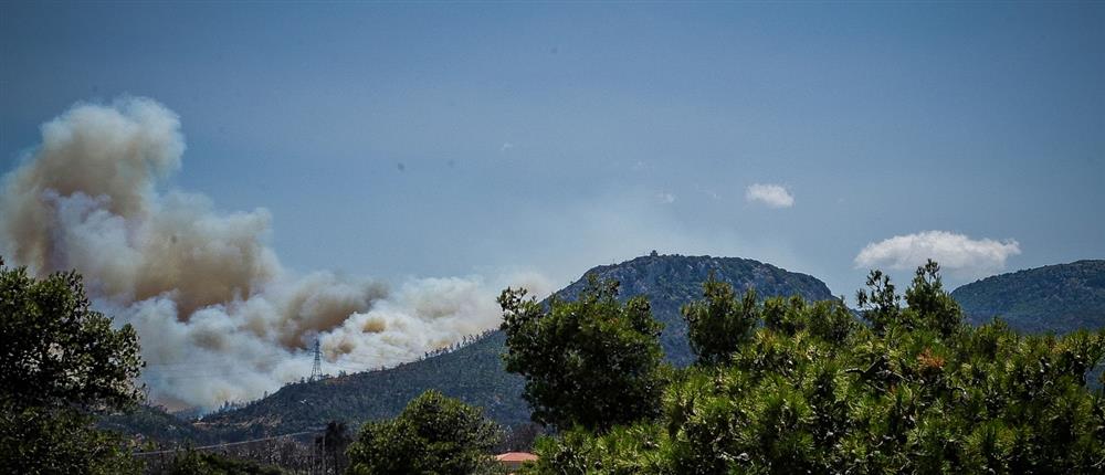 Φωτιά στην Πάρνηθα: Χωρίς ενεργό μέτωπο η πυρκαγιά
