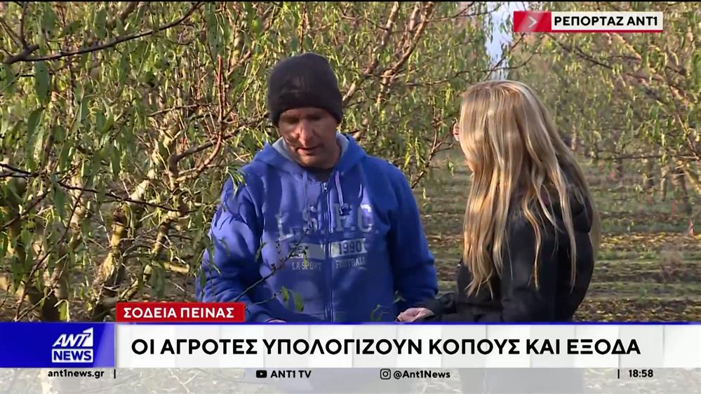 Σε απόγνωση οι αγρότες: Δεν μπορούμε να ζήσουμε με αξιοπρέπεια 
