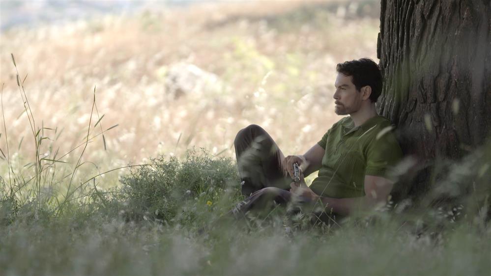 ΑΓΡΙΕΣ ΜΕΛΙΣΣΕΣ – ΕΠΕΙΣΟΔΙΟ 136 – Γ ΚΥΚΛΟΣ