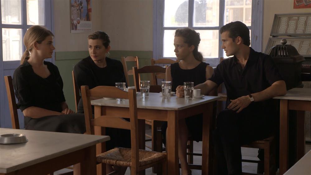 ΑΓΡΙΕΣ ΜΕΛΙΣΣΕΣ – ΕΠΕΙΣΟΔΙΟ 135 – Γ ΚΥΚΛΟΣ