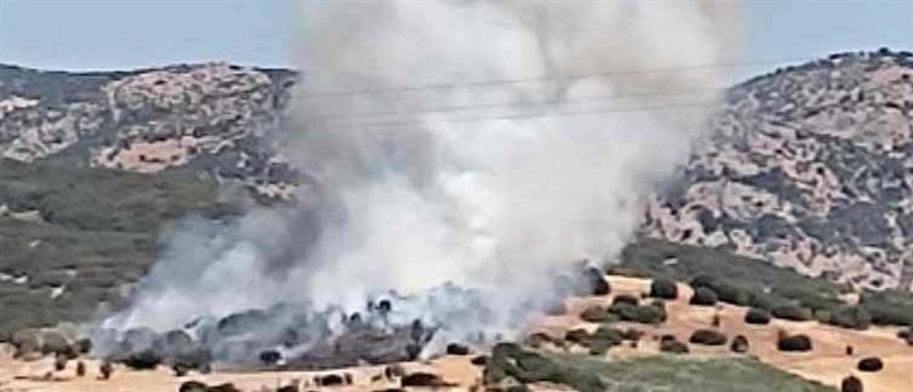 Λάρισα: Φωτιά στο Παλαιόκαστρο (εικόνες)