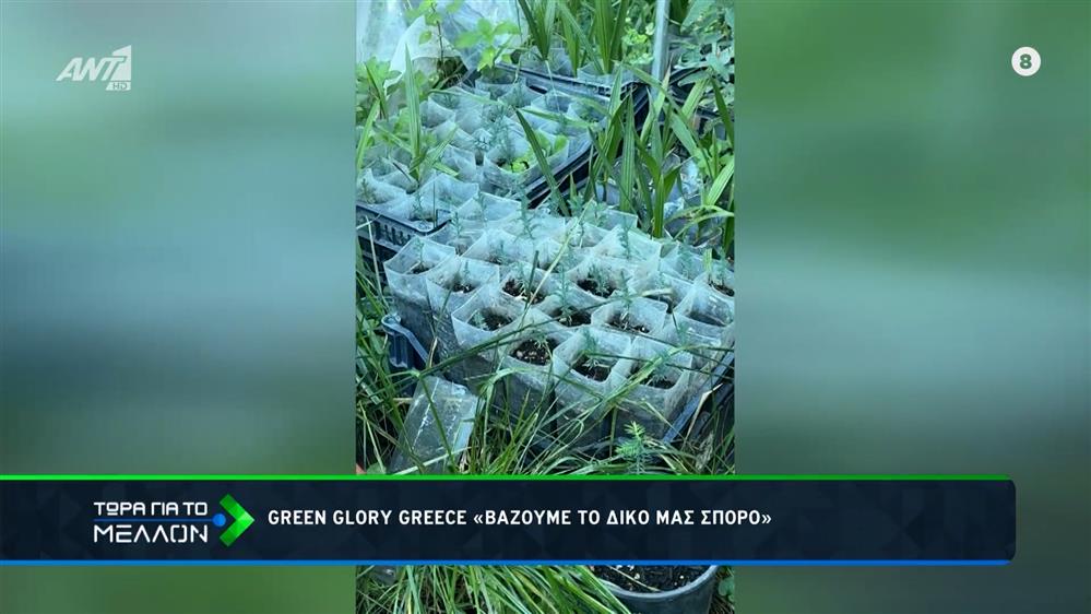 GREEN GLORY GREECE: Βάζουμε δικό μας σπόρο