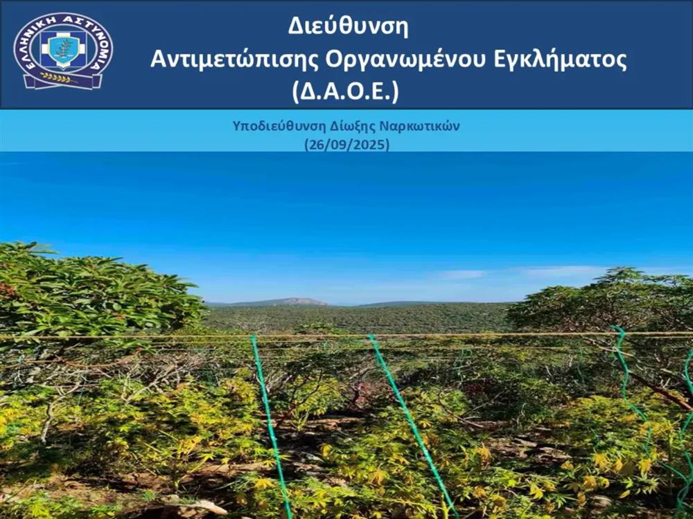 κάνναβη - δενρύλλια