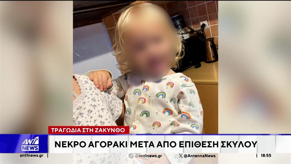 Τραγωδία στη Ζάκυνθο: Συγκλονίζει ο πατέρας του παιδιού