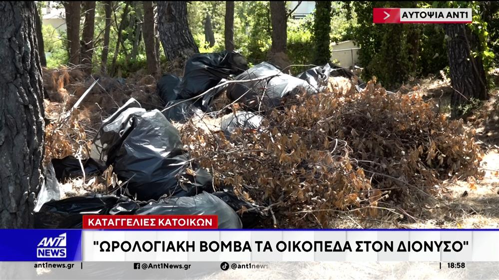 Μεγάλες μάζες από κλαδιά και σκουπίδια πεταμένα, έχουν εντοπιστεί στην περιοχή του Διονύσου