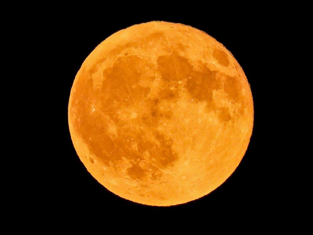 πανσέληνος οξύρρυγχου Αύγουστος 2025 πανσέληνος οξύρρυγχου Αύγουστος 2025