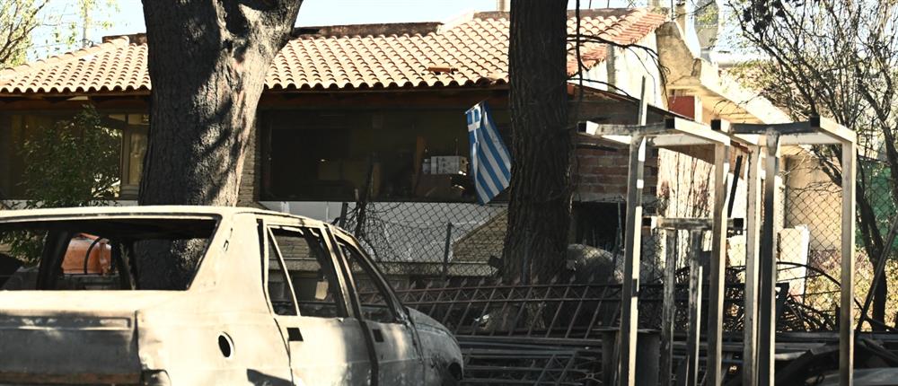 Φωτιά - Βορειοανατολική Αττική - Καταστροφές Φωτιά - Βορειοανατολική Αττική - Καταστροφές