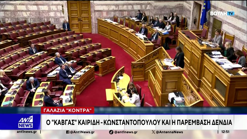 Άγριος καυγάς, με πρωταγωνιστές τον Δημήτρη Καιρίδη και τη Ζωή Κωνσταντοπούλου, ξέσπασε στη Βουλή