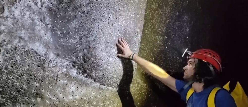 Το γιγάντιο "δίχτυ" στον υπόγειο κόσμο - Ο παγκόσμιος ρεκόρ ιστός αράχνης σε ελληνικό-αλβανικό σπήλαιο