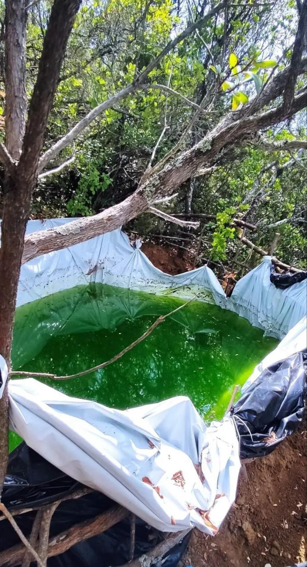 ΑΙΤΩΛΟΑΚΑΡΝΑΝΙΑ - ΝΑΡΚΩΤΙΚΑ