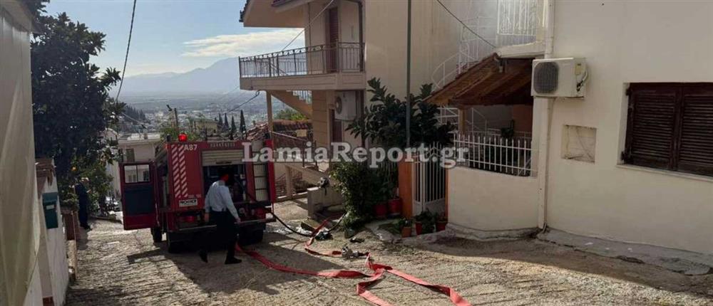 φωτιά Λαμία