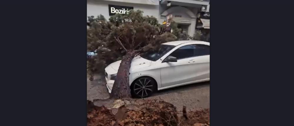 Νέα Ιωνία: Η κακοκαιρία ξερίζωσε δέντρο και το έριξε πάνω σε ΙΧ (βίντεο)