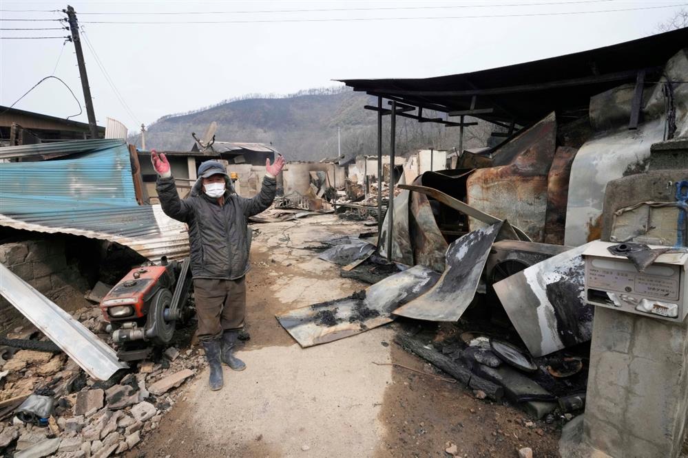 Νότια - Κορέα - Πυρκαγιές Νότια - Κορέα - Πυρκαγιές