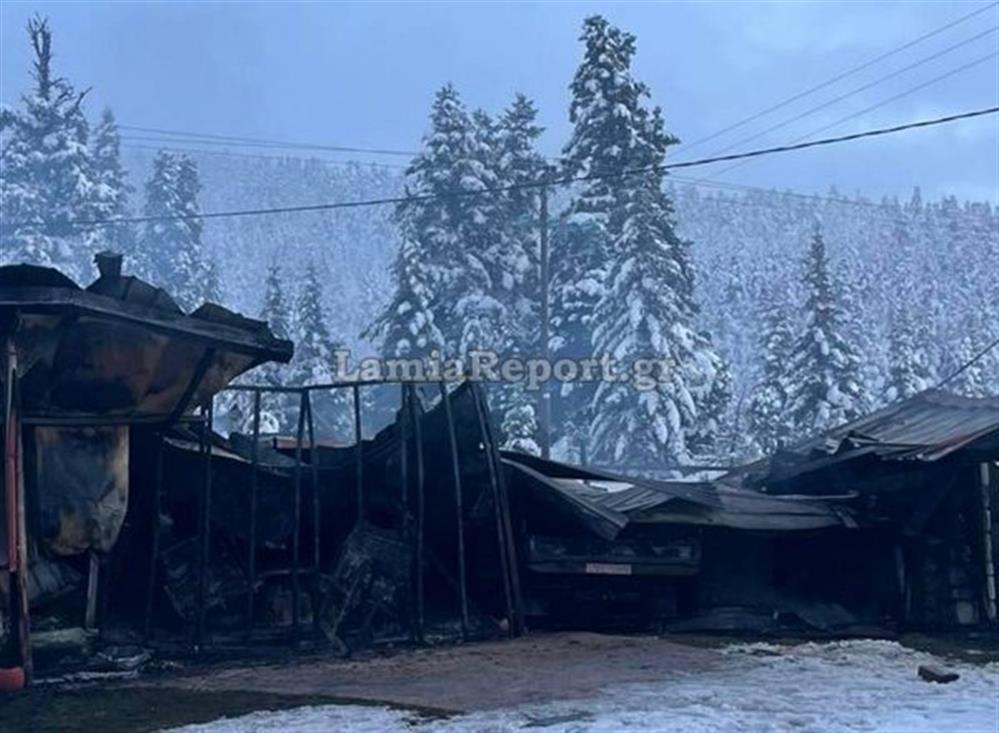 Φθιώτιδα - φωτιά Φθιώτιδα - φωτιά