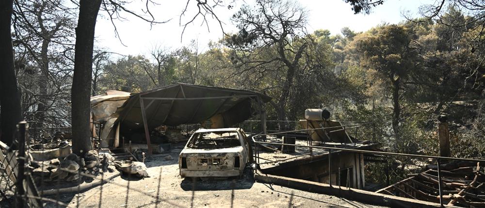 Φωτιά - Βορειοανατολική Αττική - Καταστροφές Φωτιά - Βορειοανατολική Αττική - Καταστροφές