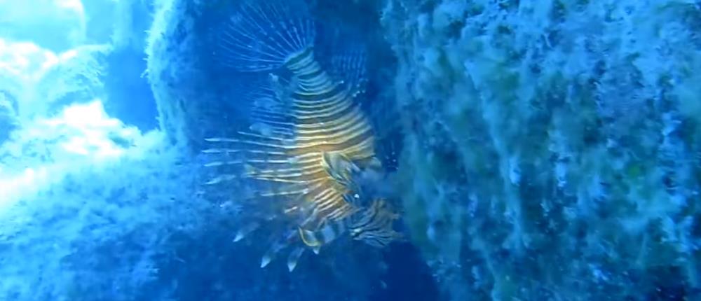 Βρέθηκαν βατραχοπέδιλα και φιάλη οξυγόνου: Αγωνία για τον 34χρονο δύτη στο "πηγάδι του διαβόλου"