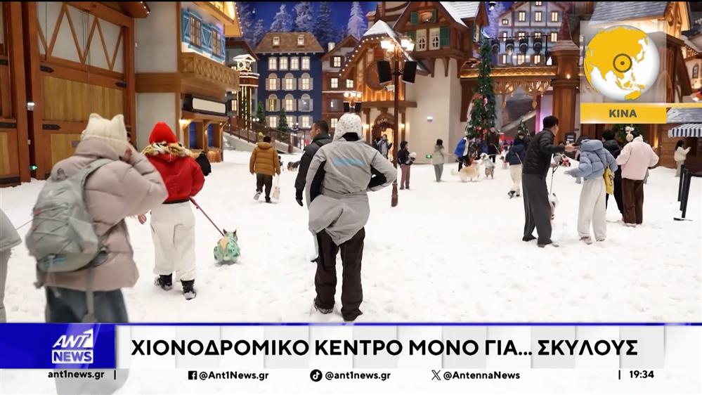 Στον ζωολογικό κήπο του Βερολίνου, πάντα, λιοντάρια και σκαντζόχοιροι απόλαυσαν εορταστικές λιχουδιές