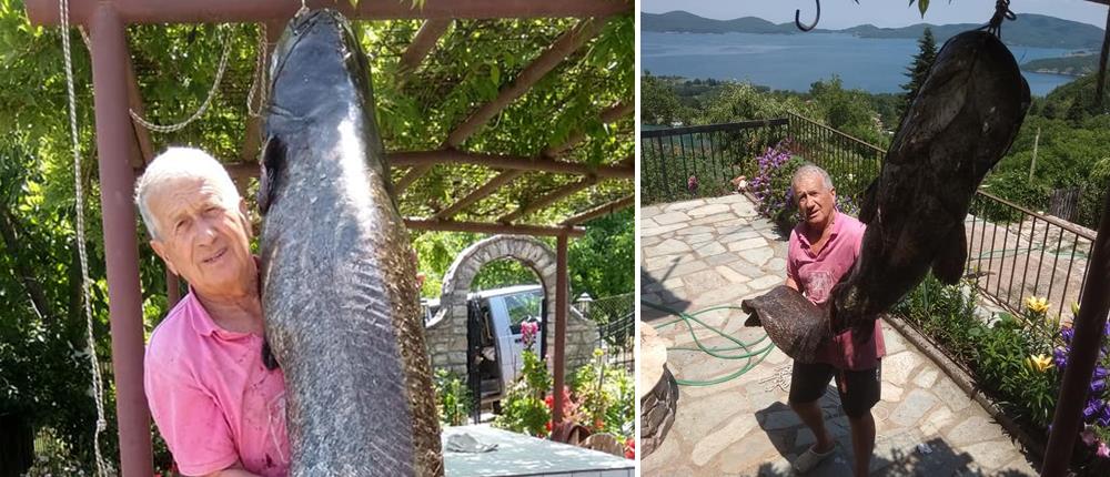 Ψάρι γίγας αλιεύθηκε στη Λίμνη Πλαστήρα (εικόνες)