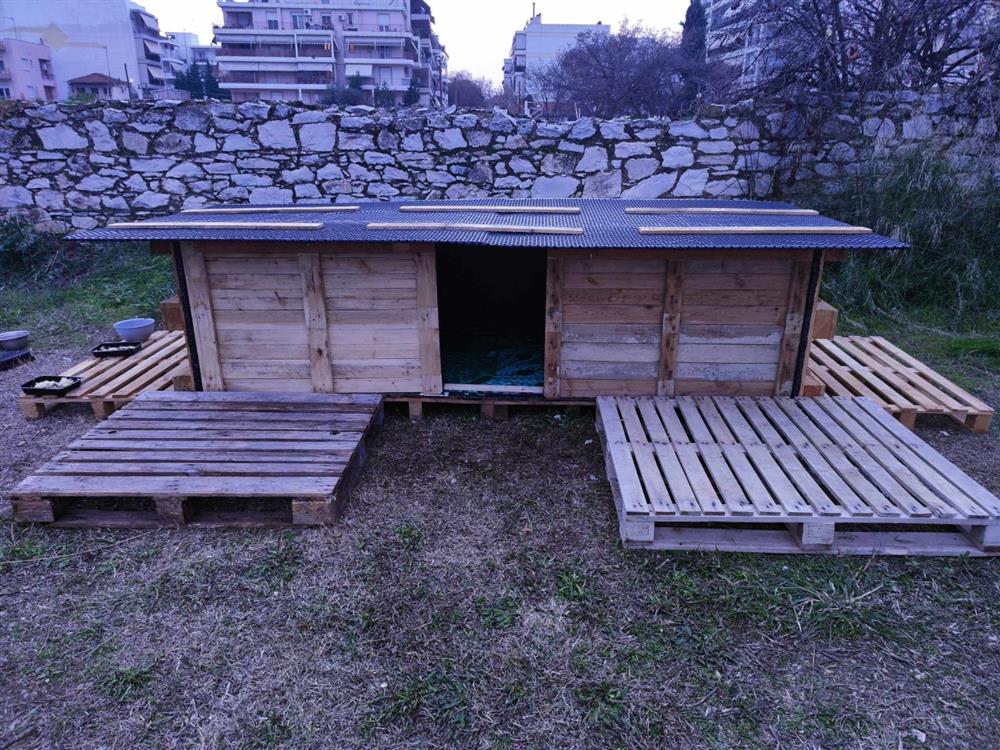 αδέσποτα - ξύλινο σπίτι αδέσποτα - ξύλινο σπίτι