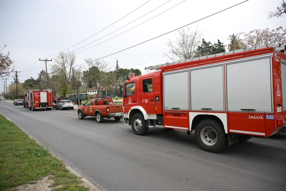 ΛΑΡΙΣΑ - ΑΝΔΡΑΣ - ΦΡΕΑΤΙΟ